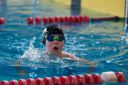 Filename=Cottbus_35.jpg
Filesize=293KiB
Dimensions=640x427
Date added=Jun 04, 2015 Cottbus_35.jpg