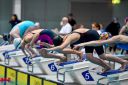 Filename=DSC_1904.jpg
Filesize=267KiB
Dimensions=1536x1024
Date added=Apr 21, 2016 DSC_1904.jpg