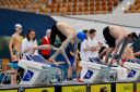 Filename=DSC_2446.jpg
Filesize=307KiB
Dimensions=1536x1024
Date added=Apr 21, 2016 DSC_2446.jpg