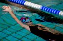 Filename=LMS_003.jpg
Filesize=46KiB
Dimensions=448x299
Date added=Jul 17, 2015 LMS_003.jpg