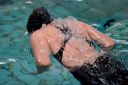 Filename=LMS_048.jpg
Filesize=49KiB
Dimensions=448x299
Date added=Jul 17, 2015 LMS_048.jpg