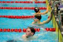 Filename=Titze_Cub_Berlin_2016__060.jpg
Filesize=284KiB
Dimensions=1800x1200
Date added=Mar 17, 2016 Titze_Cub_Berlin_2016__060.jpg