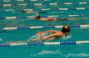 Filename=Titze_Cup_05042014_02.jpg
Filesize=61KiB
Dimensions=448x294
Date added=Jun 23, 2015 Titze_Cup_05042014_02.jpg