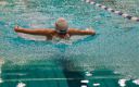 Filename=Titze_Cup_05042014_28.jpg
Filesize=66KiB
Dimensions=448x283
Date added=Jun 23, 2015 Titze_Cup_05042014_28.jpg